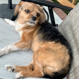 Meet your Posher, Joseph